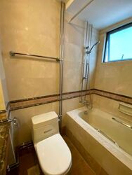 Gold Palm Mansion (D15), Apartment #639509301